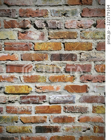 Rustic Brick Wall Texture in Daylight Eye-Level Perspective 122579164