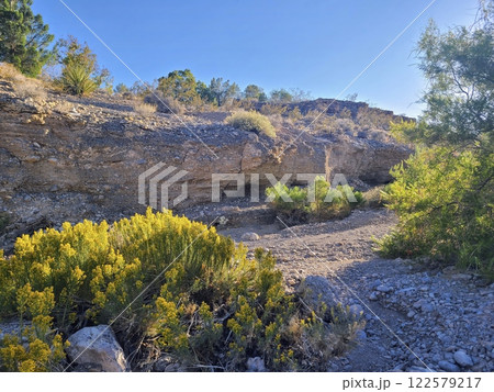 Rugged Desert Outcrop with Yellow Wildflowers at Eye Level Perspective 122579217