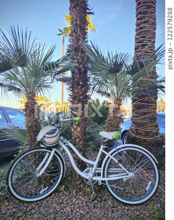 White Bicycle and Palm Trees in Festive Setting Eye-Level View White Bicycle and Palm Trees in Festive Setting Eye-Level View 122579288