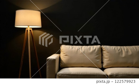 In the dark room, there is a beige sofa and next to it, a floor lamp. On the wall, there is space for copy space 122579923
