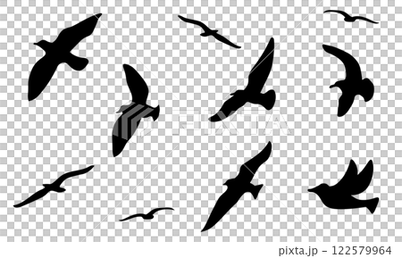 Silhouette illustration of a flock of birds flying in the sky Silhouette illustration of a flock of birds flying in the sky 122579964