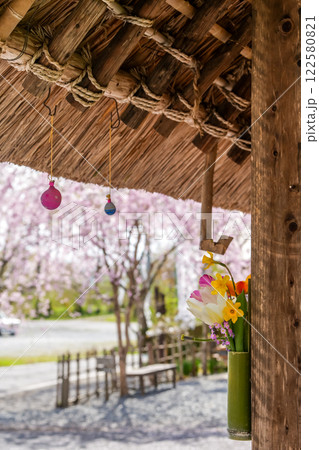 茅葺き屋根の軒下から眺めるピンク色のしだれ桜　岡山県真庭市「普門寺」 122580821