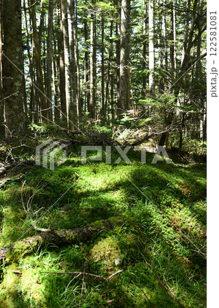 蓼科登山、長野県 蓼科登山、長野県 122581081