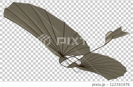 Otto Lilienthal's Glider 122581976