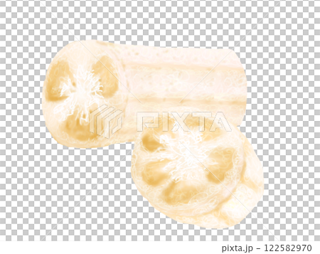 Hand-drawn illustration of a loofah 122582970