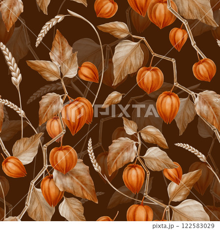 Seamless pattern physalis orange branch with leaves and buds and spikelets of wheat.Decorative plant element for pumpkin harvest festival and Thanksgiving day,Halloween.With brown background 122583029