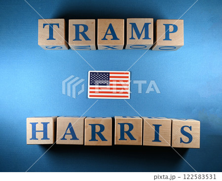 Wooden cubes with the names of US presidential candidates Donald Trump and Kamala Harris 122583531