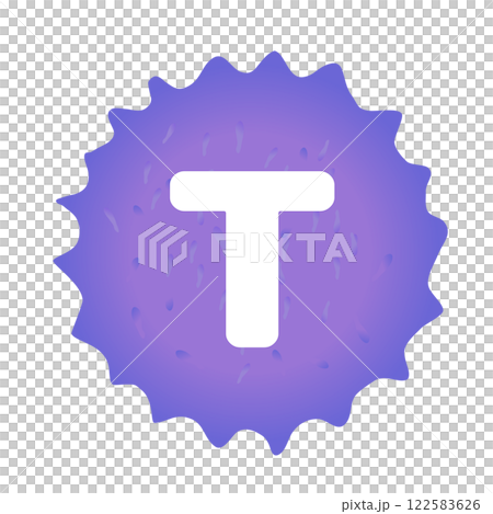 T細胞イメージのイラスト T細胞イメージのイラスト 122583626