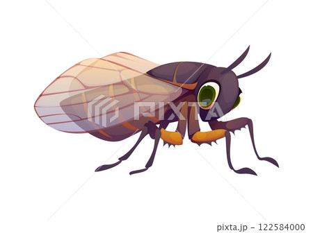 Cartoon funny cicada insect character featuring large green eyes and transparent wings. Isolated vector cute and adorable pest personage with playful expression, natural flying creature Cartoon funny cicada insect character featuring large green eyes and transparent wings. Isolated vector cute and adorable pest personage with playful expression, natural flying creature 122584000