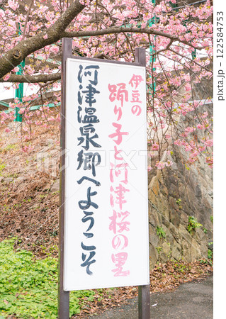 《河津町》河津桜の里　看板　河津桜まつり 122584753