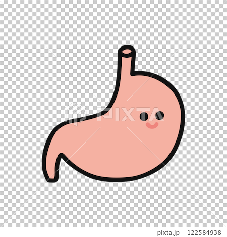 かわいい胃 122584938