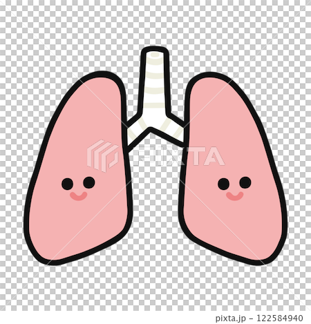 Cute Lungs 122584940