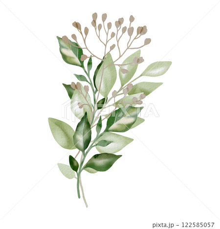 Hand-drawn watercolor illustration of elegant decorative branches with lush, pointed leaves. Perfect for wedding invitations, botanical prints, minimalist home decor, romantic greeting cards. Hand-drawn watercolor illustration of elegant decorative branches with lush, pointed leaves. Perfect for wedding invitations, botanical prints, minimalist home decor, romantic greeting cards. 122585057