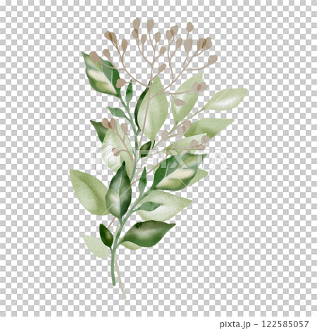 Hand-drawn watercolor illustration of elegant decorative branches with lush, pointed leaves. Perfect for wedding invitations, botanical prints, minimalist home decor, romantic greeting cards. Hand-drawn watercolor illustration of elegant decorative branches with lush, pointed leaves. Perfect for wedding invitations, botanical prints, minimalist home decor, romantic greeting cards. 122585057