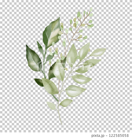 Hand-drawn watercolor illustration of elegant decorative branches with lush, pointed leaves. Perfect for wedding invitations, botanical prints, minimalist home decor, romantic greeting cards. 122585058
