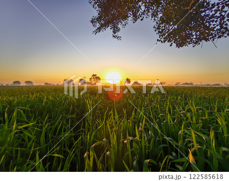 Sunrise over the field Sunrise over the field 122585618