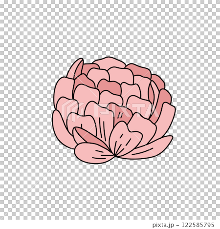 A pink flower with a white background 122585795
