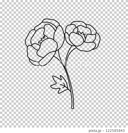 Two flowers are drawn in black and white 122585843