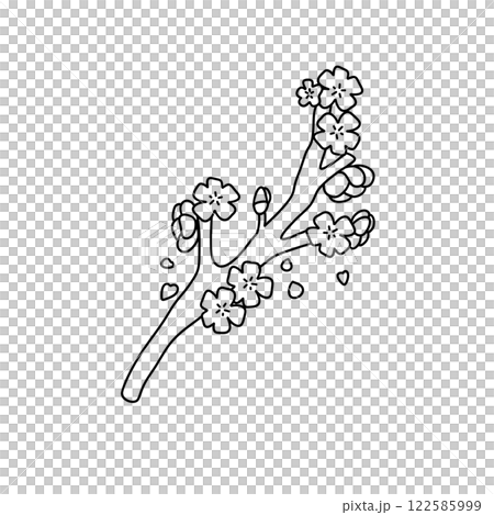 A branch with blossoms on it A branch with blossoms on it 122585999