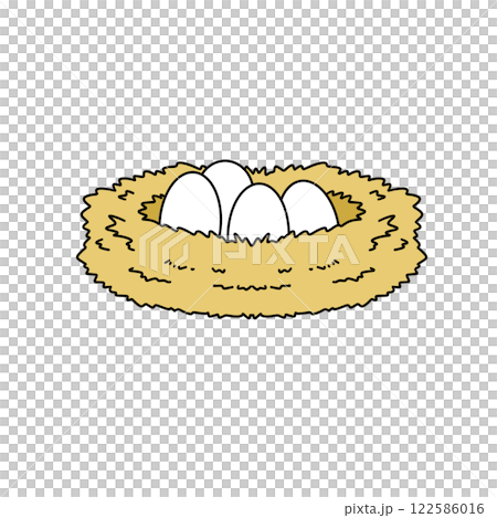 A nest with three eggs in it A nest with three eggs in it 122586016