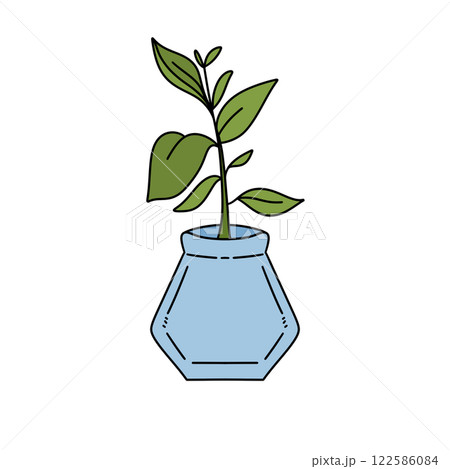 A plant is in a blue vase 122586084
