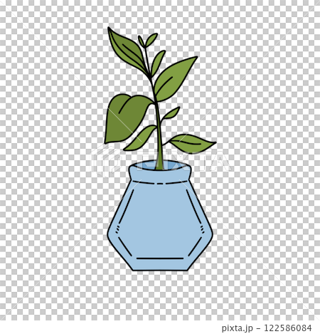 A plant is in a blue vase 122586084