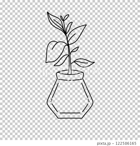 A plant is in a vase A plant is in a vase 122586165