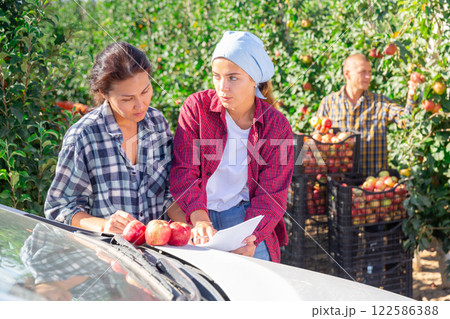 Female farmers discussing papers in garden during apple harvest 122586388