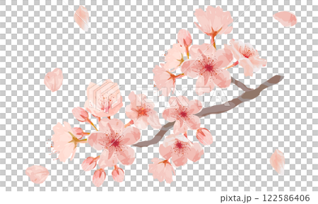 水彩で描いた桜のイラスト 122586406