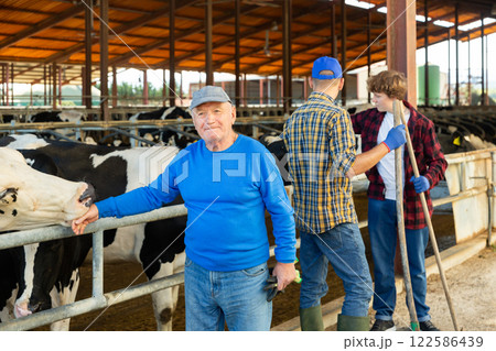 Smiling elderly livestock farm owner playing with cow 122586439