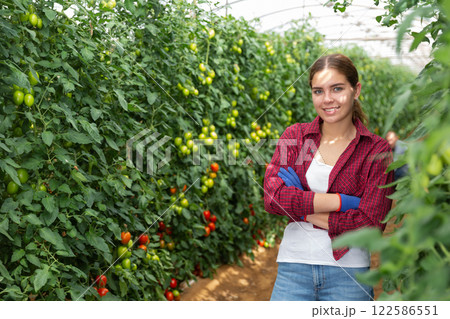 Portrait of woman engaged tomatoes in cultivation in glasshouse, proud of plants Portrait of woman engaged tomatoes in cultivation in glasshouse, proud of plants 122586551