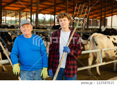 Senior and young men farmers in cowshed Senior and young men farmers in cowshed 122587015