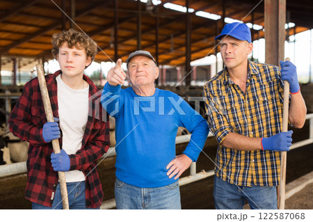 Elderly farmer instructs helpers what to do on cow farm Elderly farmer instructs helpers what to do on cow farm 122587068
