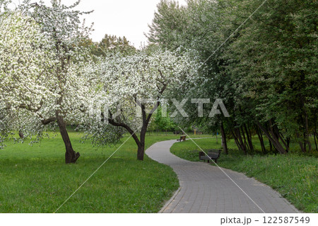 recreation park with footpath and lantern and trees 122587549