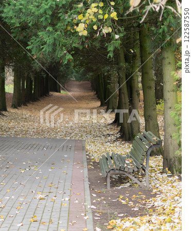 Walkway in the park in the summer 122587550