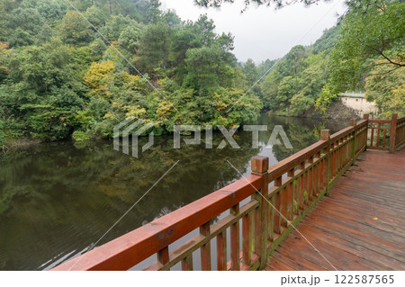 redwood bridge along forest lake in park redwood bridge along forest lake in park 122587565