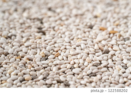 ホワイトチアシードのクローズアップ 122588202