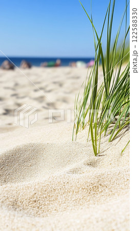 Sandy beach with grass under clear blue sky Sandy beach with grass under clear blue sky 122588330