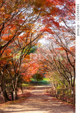 【岡山県岡山市】龍泉寺 122588461