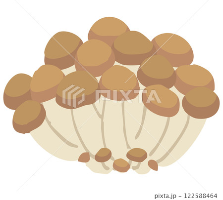 占地(シメジ)のイラスト 占地(シメジ)のイラスト 122588464