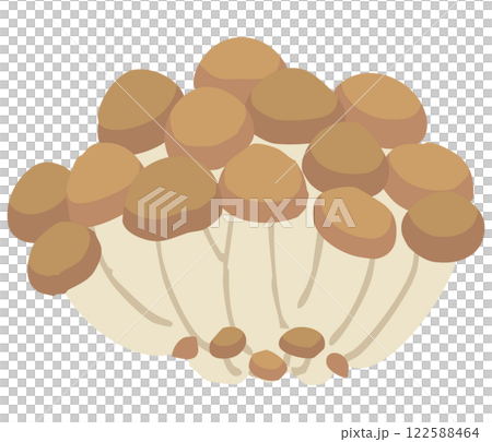 Illustration of Shimeji mushroom 122588464