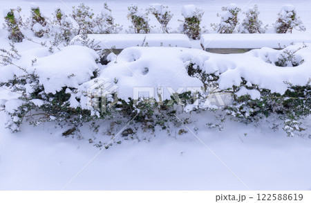 冬支度　雪囲い 122588619