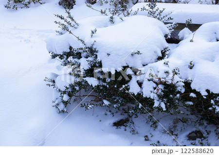 冬支度 雪囲い 冬支度 雪囲い 122588620