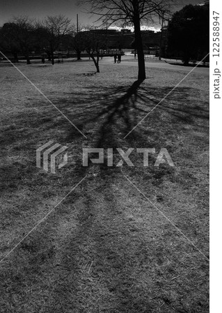 朝の公園の木陰 122588947