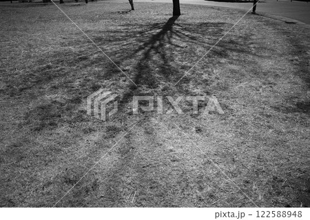 朝の公園の木陰 朝の公園の木陰 122588948