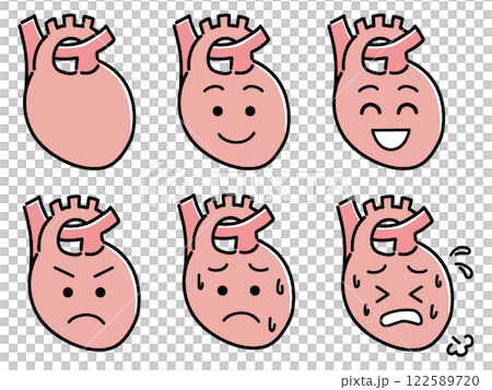 Illustration of the heart 122589720