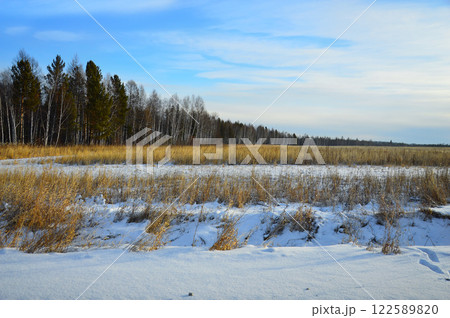 Winter landscape. Forest and field against blue sky with clouds. 122589820