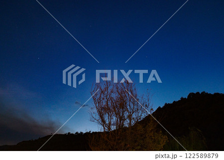 星空 ホシゾラ 木 122589879