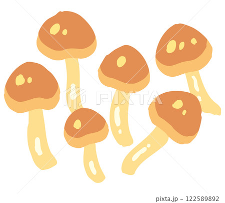 滑子（ナメコ）のイラスト 122589892