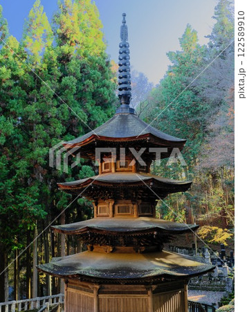 秋の信州別所温泉 安楽寺の八角三重塔歴史を刻む 秋の信州別所温泉 安楽寺の八角三重塔歴史を刻む 122589910